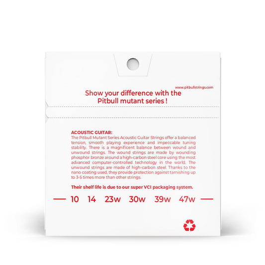 Pitbull Strings 「變種系列」木吉他6弦 10/47