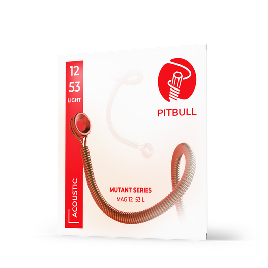 Pitbull Strings 「變種系列」木吉他6弦 12/53