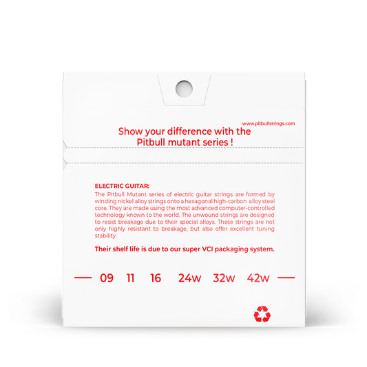 Pitbull Strings 「變種系列」電吉他6弦 09/42