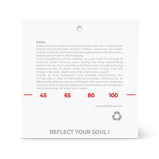 Pitbull Strings「スムースシリーズ」エレクトリックベース 4弦 45/100