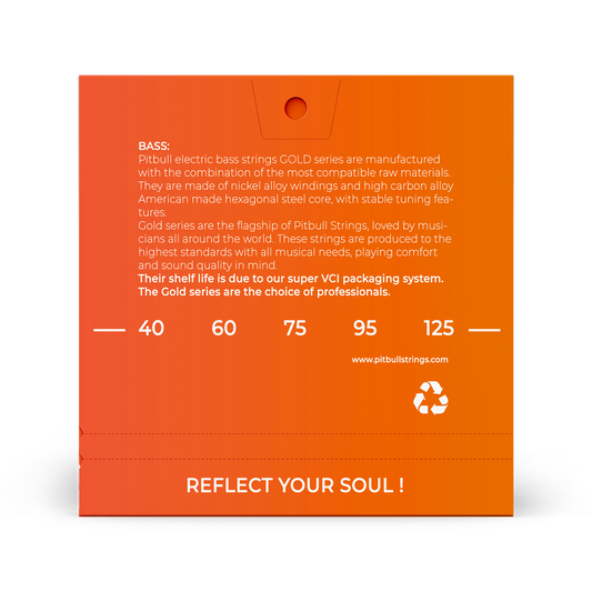 Pitbull Strings「ゴールドシリーズ」エレキベース 5弦 40/125