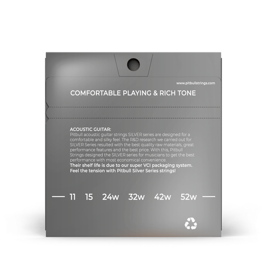 Pitbull Strings「シルバーシリーズ」アコースティックギター 6弦 11/52