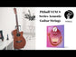Pitbull Strings 「維納斯系列」木吉他6弦 11/52